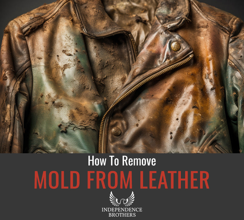 How to Remove Mold from Leather – Complete Guide